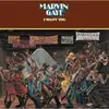 LP - Marvin Gaye - I Want You - CRC