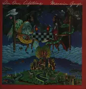 LP - Marvin Gaye - In Our Lifetime