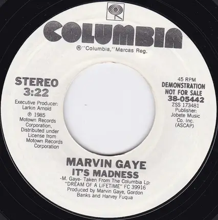 Marvin Gaye - It's Madness