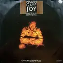 12inch Vinyl Single - Marvin Gaye - Joy (Parts 1 & 2) (Ecstatic Mix) / Turn On Some Music