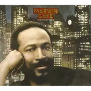Marvin Gaye - Midnight Love & The Sexual Healing Sessions