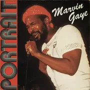 Double LP - Marvin Gaye - Portrait