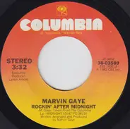 Marvin Gaye - Rockin' After Midnight