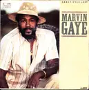 7inch Vinyl Single - Marvin Gaye - Sanctified Lady