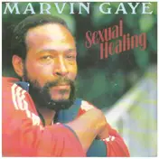 Marvin Gaye - Sexual Healing