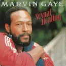 7inch Vinyl Single - Marvin Gaye - Sexual Healing