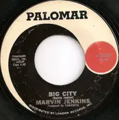 Marvin Jenkins - Big City
