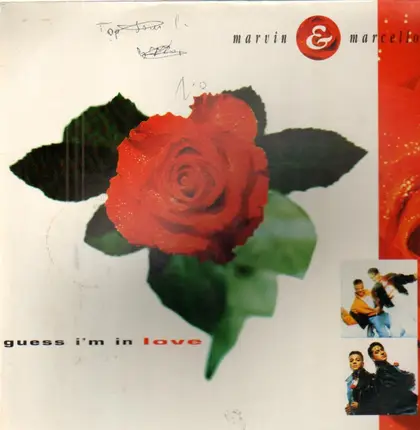 Marvin & Marcello - Guess I'm in love