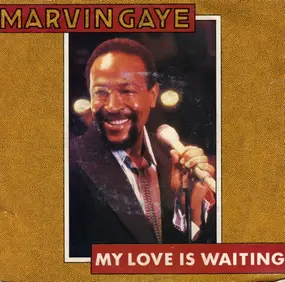 Marvin Gaye - My Love Is Waiting