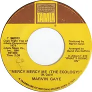 Marvin Gaye - Mercy, Mercy Me (The Ecology)