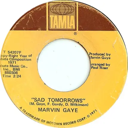Marvin Gaye - Mercy, Mercy Me (The Ecology)