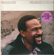 LP - Marvin Gaye - Dream Of A Lifetime