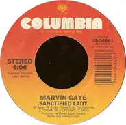 Marvin Gaye - Sanctified Lady