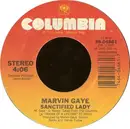 7'' - Marvin Gaye - Sanctified Lady