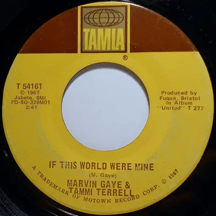 Marvin Gaye & Tammi Terrell - If I Could Build My Whole World Around You