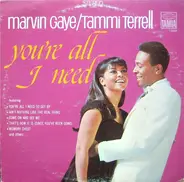 Marvin Gaye & Tammi Terrell - You're All I Need