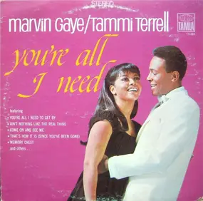 Marvin Gaye - You're All I Need