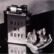 LP - Mary My Hope - Museum