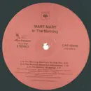 12inch Vinyl Single - Mary Mary - In The Morning