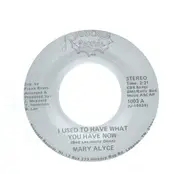 Mary - I Used To Have What You Have Now / Man In My Hometown