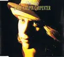 CD Single - Mary Chapin Carpenter - I Feel Lucky