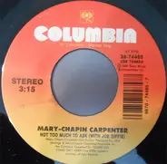 Mary Chapin Carpenter With Joe Diffie - Not Too Much To Ask