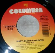 Mary Chapin Carpenter - The Bug