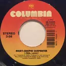 7inch Vinyl Single - Mary Chapin Carpenter - I Feel Lucky
