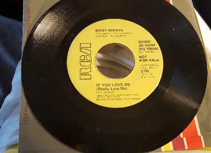 Mary Hopkin - If You Love Me