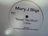 Mary J. Blige - Never Too Much
