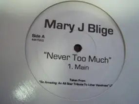 Mary J. Blige - Never Too Much