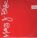Double LP - Mary J. Blige - Flava