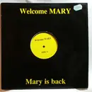 12inch Vinyl Single - Mary J. Blige / The Mission - Welcome Mary - Mary Is Back / Pump It Up