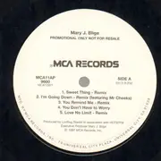 Double LP - Mary J. Blige - Flava