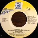 7inch Vinyl Single - Mary Jane Girls - Break It Up