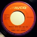 7inch Vinyl Single - Mary Kay James - Which Way Do We Go / I Think I'll Say Goodbye