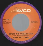 Mary Kay James - Before The Curtain Falls