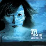Mary Lee's Corvette - 700 Miles