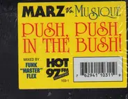 Marz Vs Musique - Push, Push In The Bush