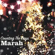 10'' - Marah - Counting The Days - Still Sealed