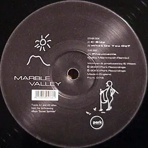 Marble Valley - C-Side / What Do You Do? / Pneumonia