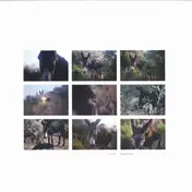 Marc Hellner - Asleep On the Wing