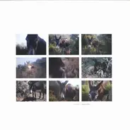 Marc Hellner - Asleep On the Wing