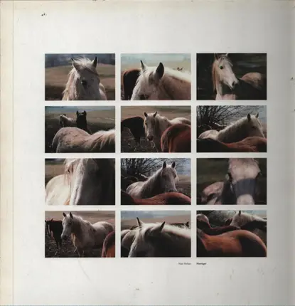Marc Hellner - Marriages