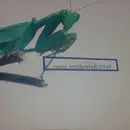 12inch Vinyl Single - Marc Rembrandt - Mind