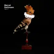 Marcel Dettmann - Fabric 77