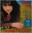 LP - Marcello Pieri - Un Cocomero In Discesa