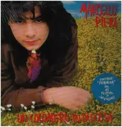 Marcello Pieri - Un Cocomero In Discesa