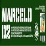 marcelo d2 - BATIDA REMIX SAO BENITEZ