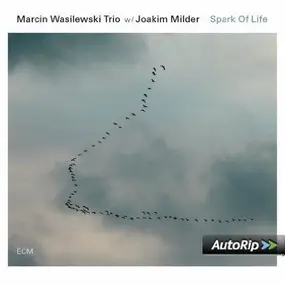 Marcin Wasilewski Trio - Spark of Life